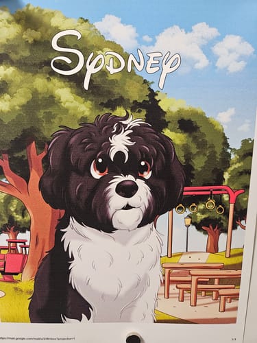 Customer photo review of Custom Hand-Drawn Cartoon Pet Portrait