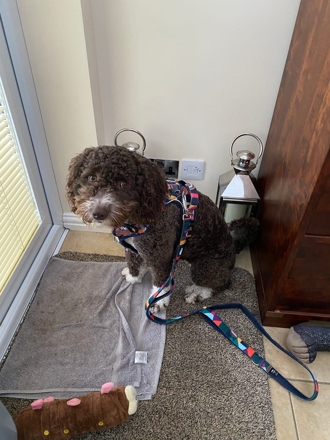 Customer photo review of Close Control Lead