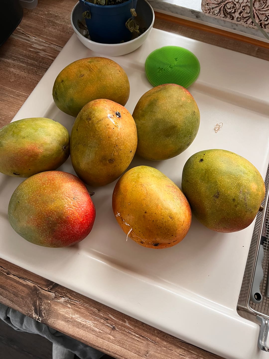 Customer photo review of Mango Kent Bio von Joe Roman baumgereifte Flugware