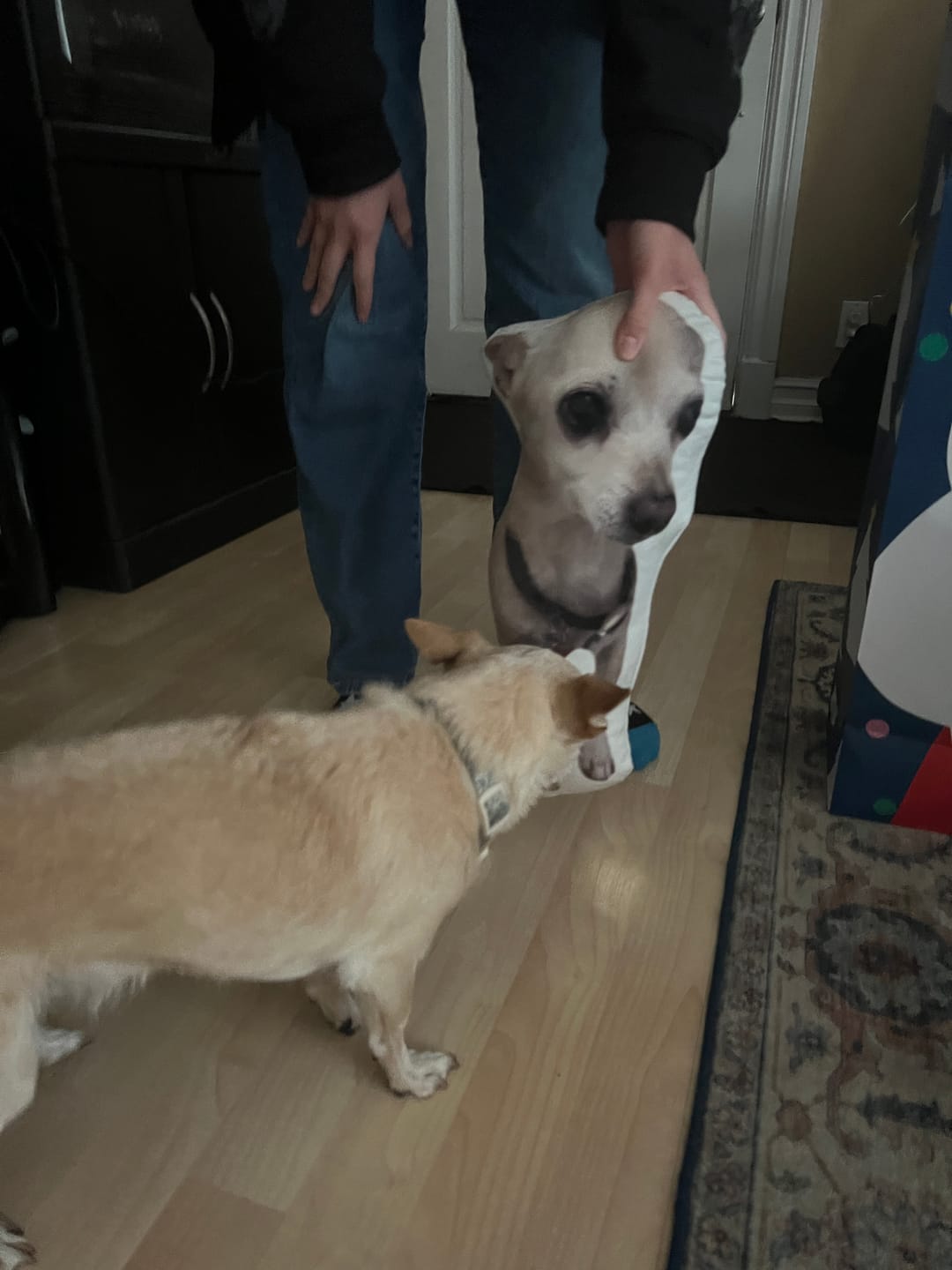 Customer photo review of Pet Pillow Looks Like Your Pet, Customize Dog Shaped Pillow with Pet Photo - ThePetPillow