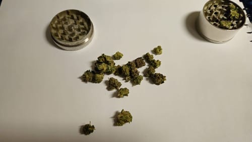 Customer photo review of Skywalker OG - Greenhouse THCA (Smalls)