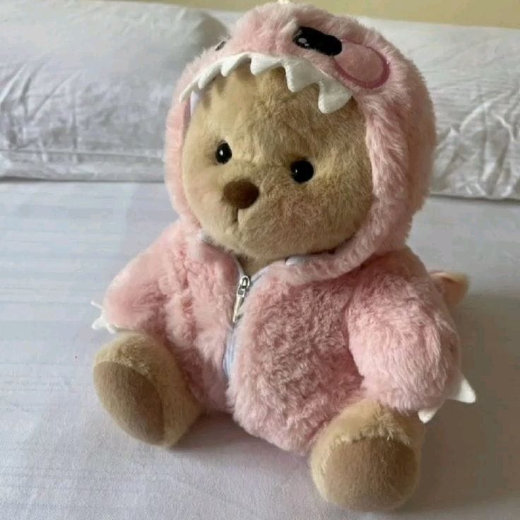 Customer photo review of Pink Dino