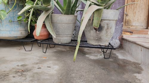 Customer photo review of United Crafts BRAK Heavy Rectangle Plant Stand – Indoor & Outdoor