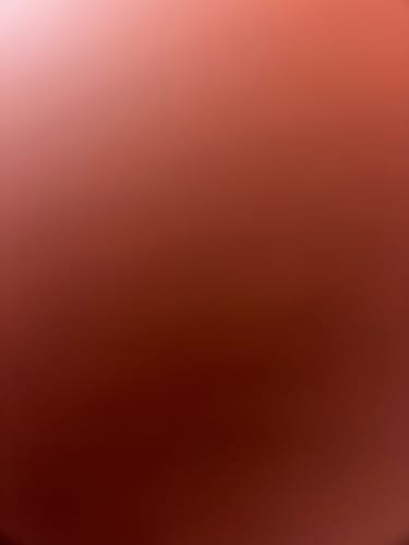 Customer photo review of Shipping Protection by Route