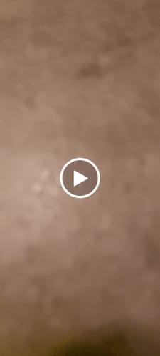 Customer video review of TESTOWIT - Regolazione ormonale 120 cps NEW