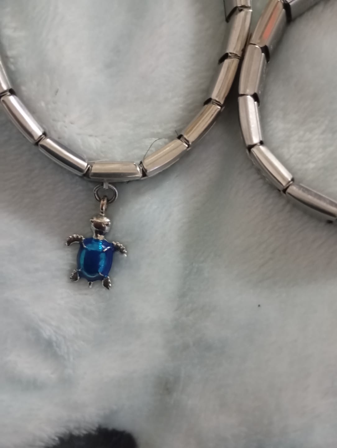 Customer photo review of Charm Tortuga