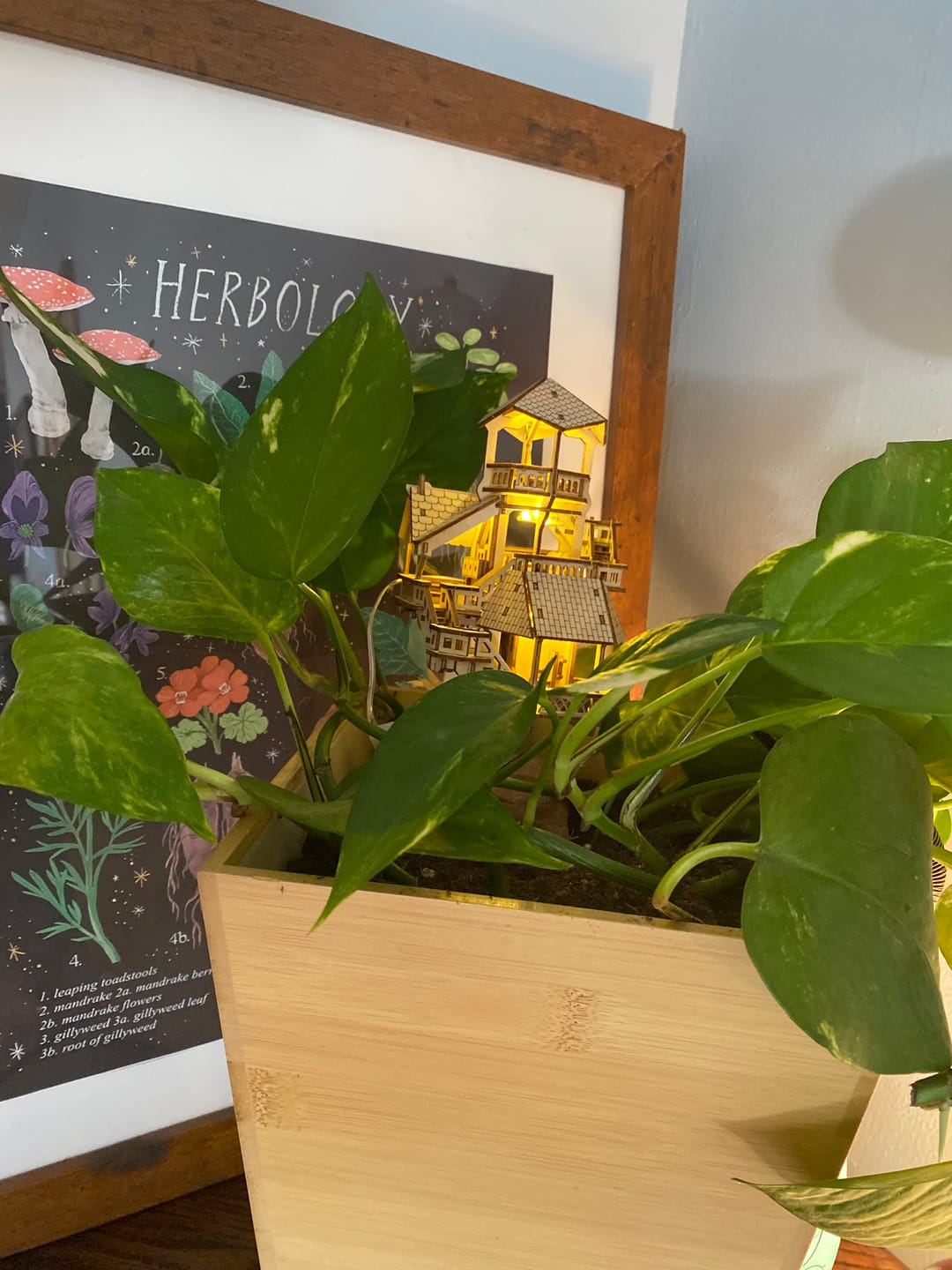 Customer photo review of Forest Cottage