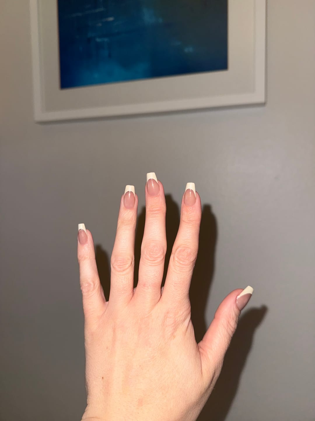 Customer photo review of daily middle french set