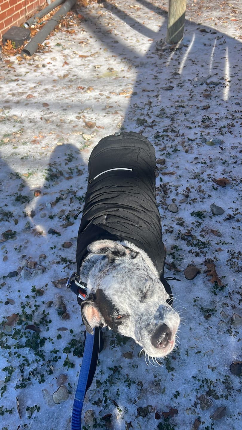 Customer photo review of No Rip Poop Bags Pack of 3 • 24 Rolls Count, 360 Bags