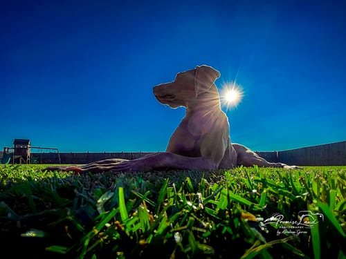 Customer photo review of TIER ONE MEMBERSHIP