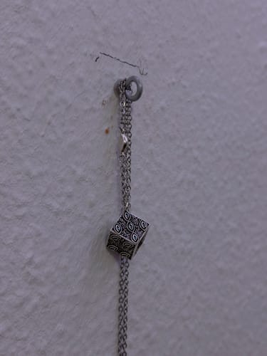 Customer photo review of Collar "Gokumonkyo"