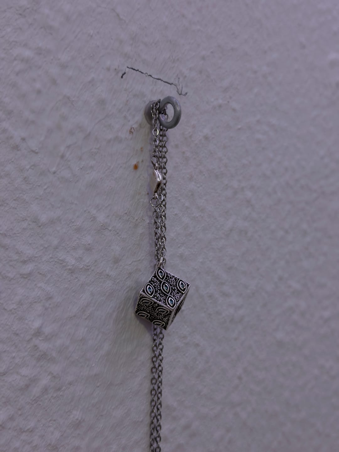Customer photo review of Collar "Gokumonkyo"