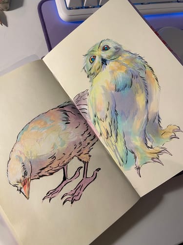 Customer photo review of Ohuhu Oahu 48 Pastel Colors Dual Tips Alcohol Art Markers, Fine & Chisel