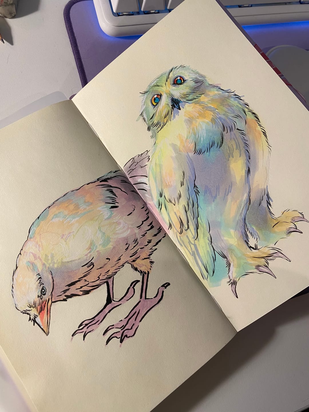 Customer photo review of Ohuhu Oahu 48 Pastel Colors Dual Tips Alcohol Art Markers, Fine & Chisel