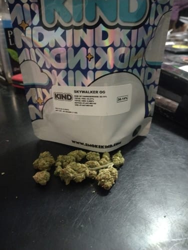 Customer photo review of Shipping Protection by Route