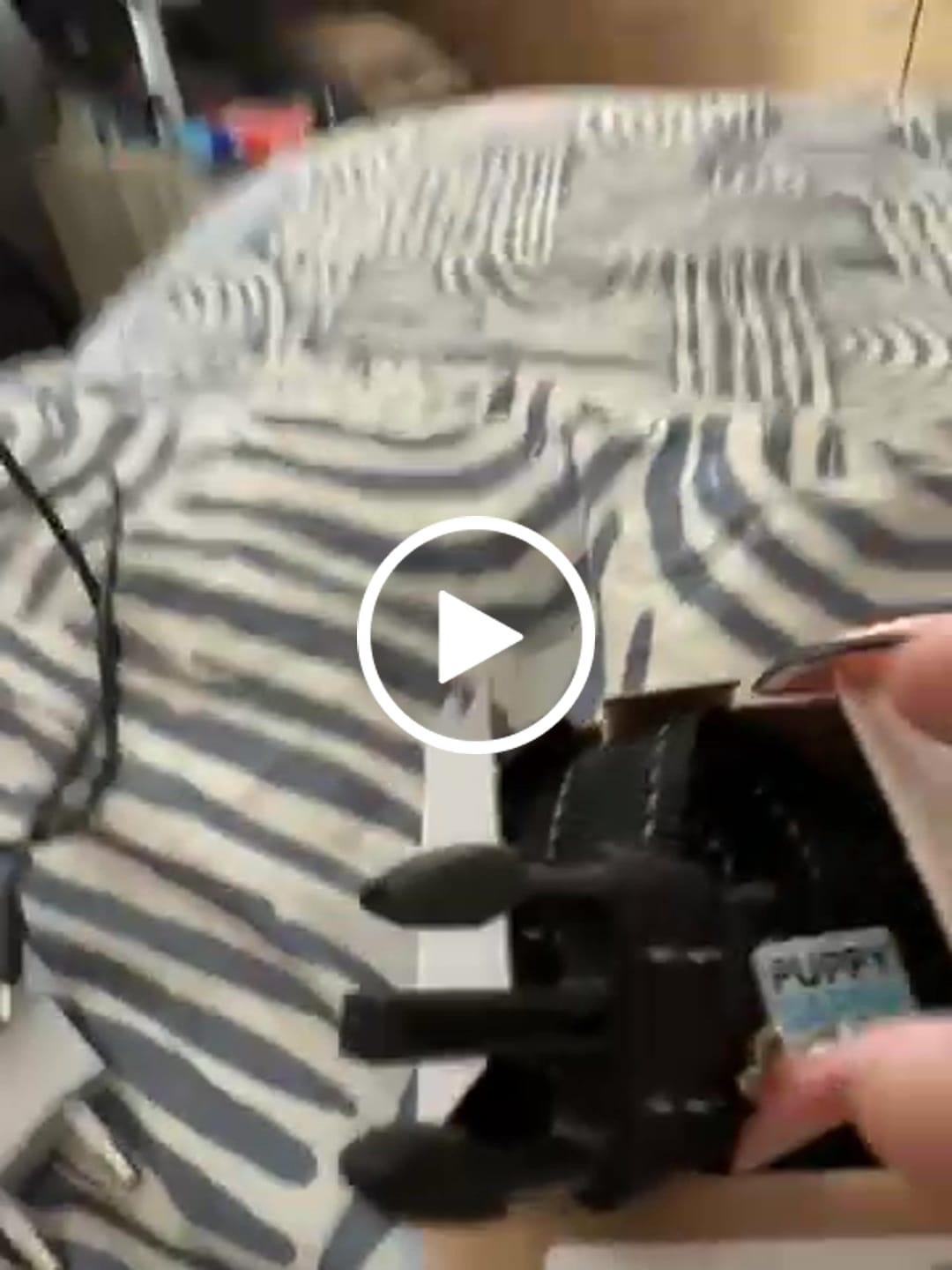 Customer video review of Collier Anti Aboiement PuppySafe