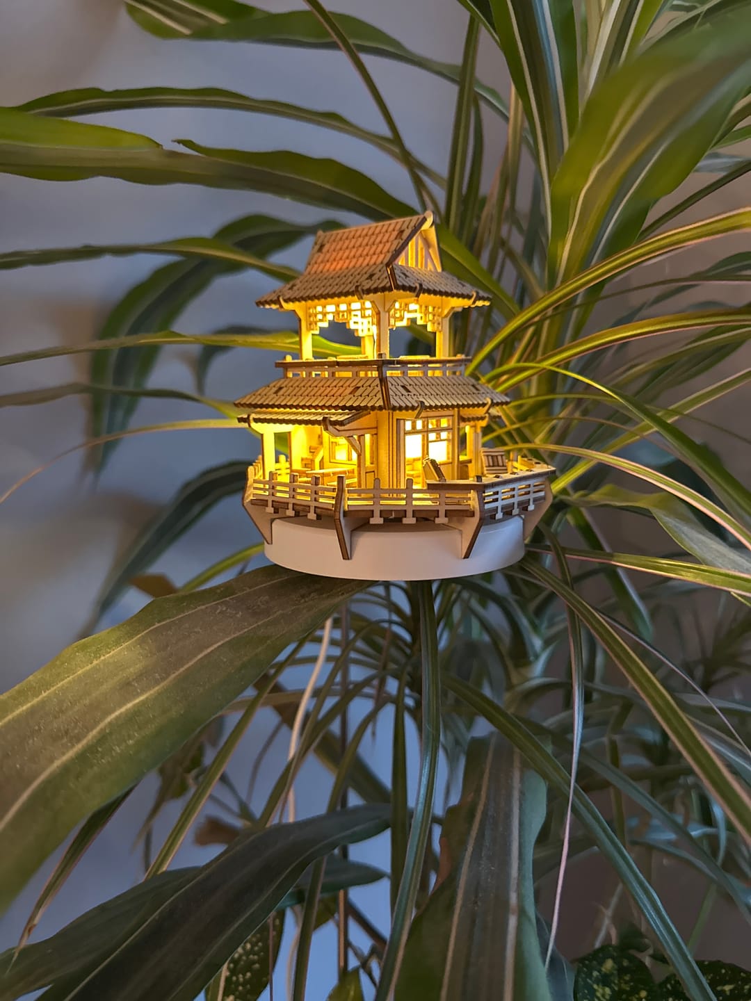 Customer photo review of Sunrise Terrace + Grow Light