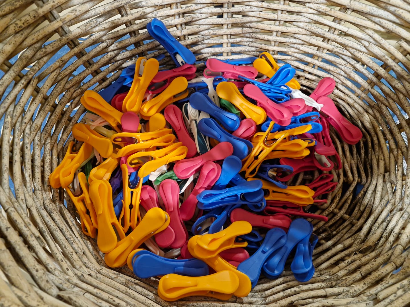 Customer photo review of Hegs Pegs 18pk