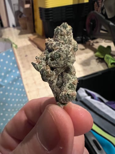 Customer photo review of Cookies N’ Cream