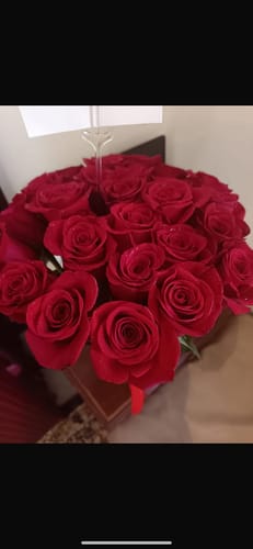 Customer photo review of Classic Two Dozen Premium Roses