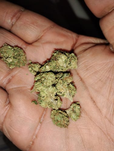 Customer photo review of Black Ice THCA Flower Ounce