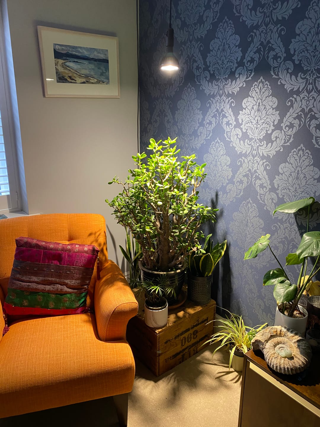 Customer photo review of Pianta Grow Light and Enna Plug-in Ceiling Pendant Bundle