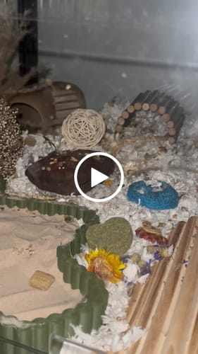 Customer video review of Lotus Pod -- Boredom Breaker