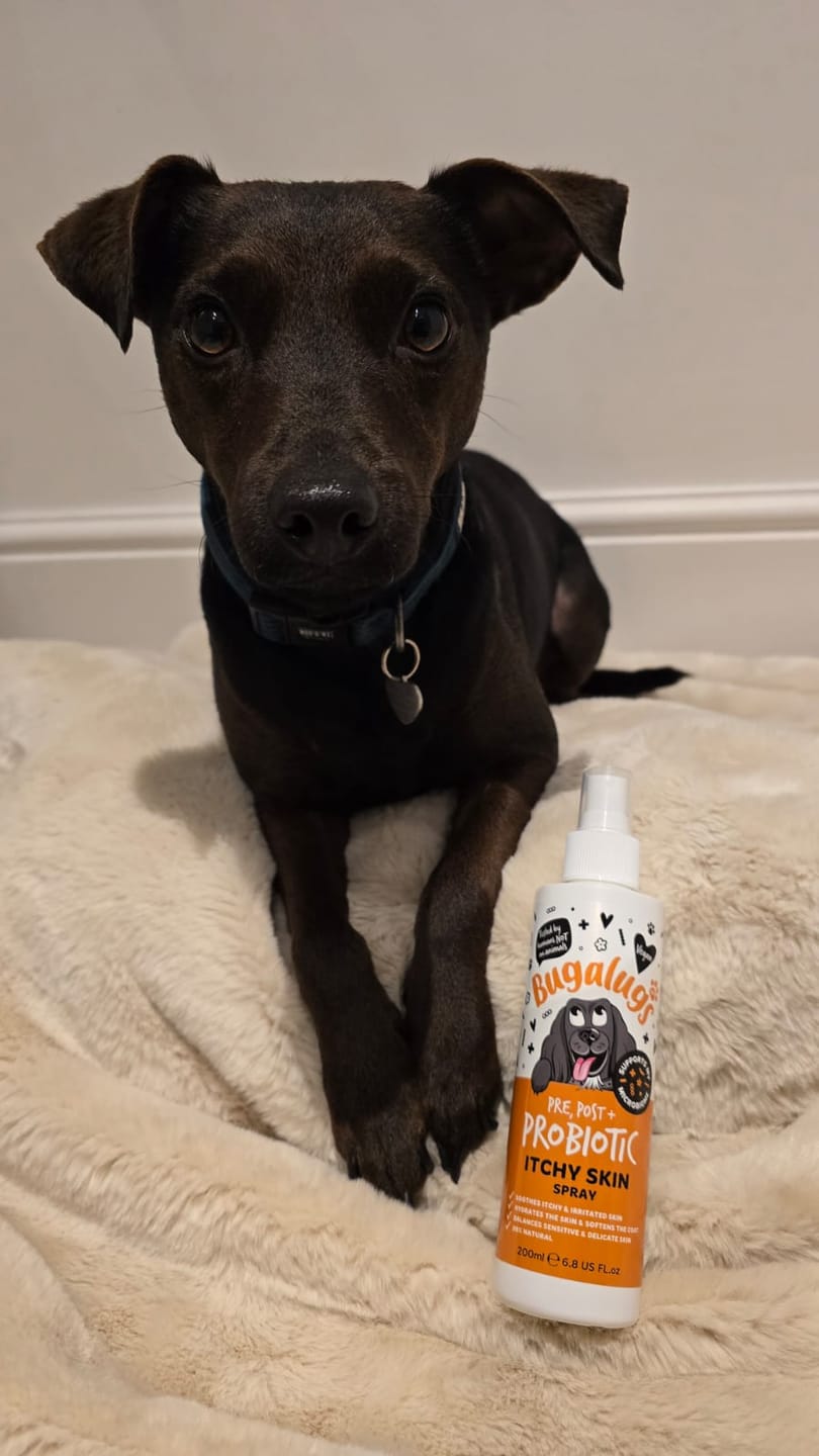 Customer photo review of Pre, Post + Probiotic Itchy Skin Spray for Dogs