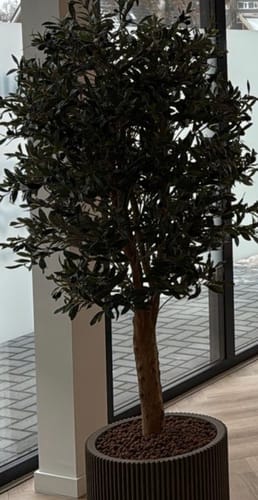 Customer photo review of Kunst Olijfboom 160cm Deluxe