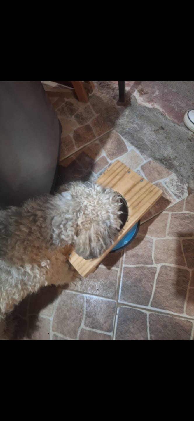 Customer photo review of Bokato Petit Razas Pequeñas