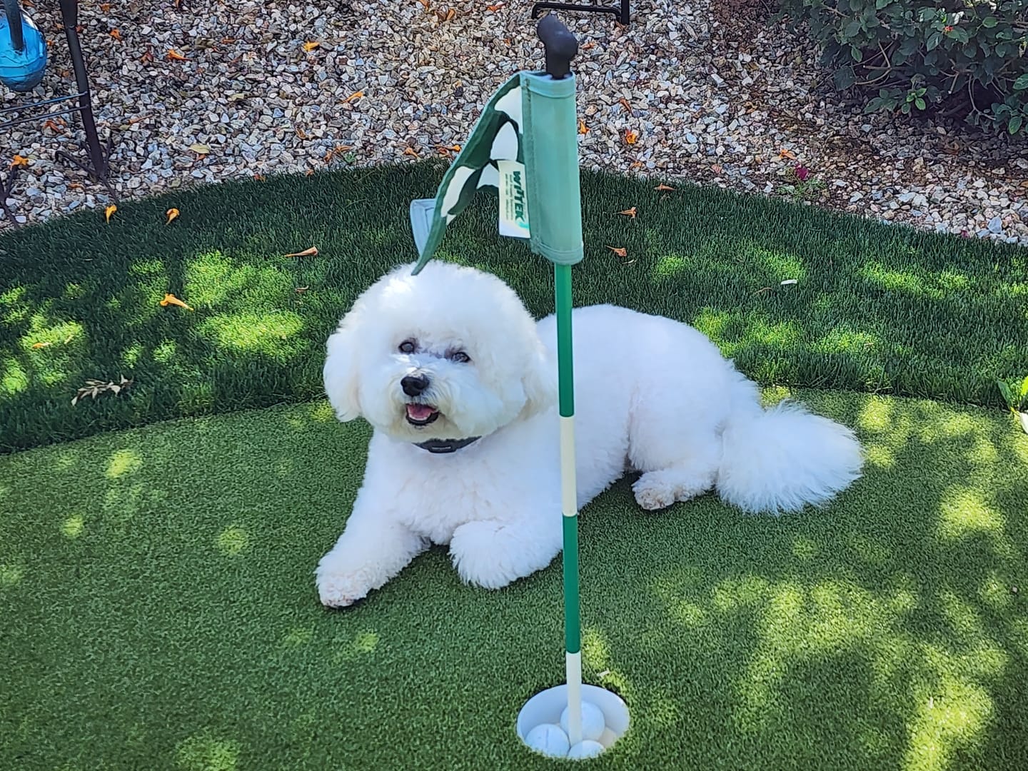 Customer photo review of Furaqua Pets Dental Finger Wipes