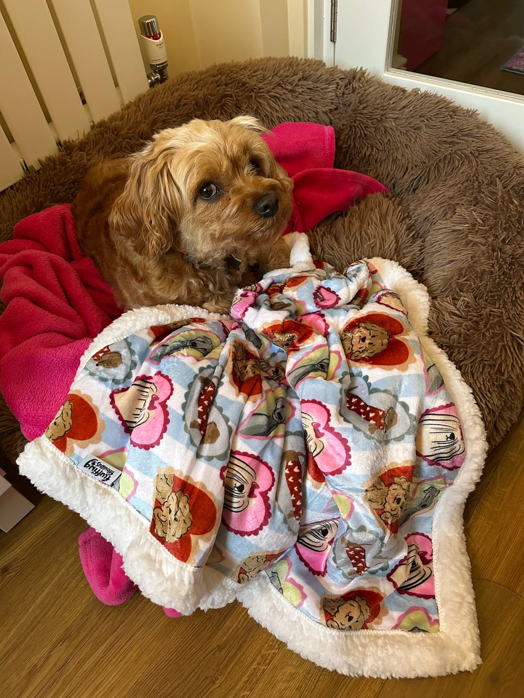 Customer photo review of Dog Blankie - My Fur Ever Love