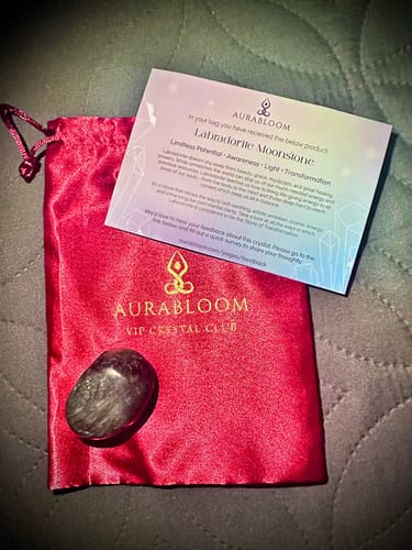Customer's polished Labradorite Moonstone crystal from the VIP Crystal Club with its red pouch and card.