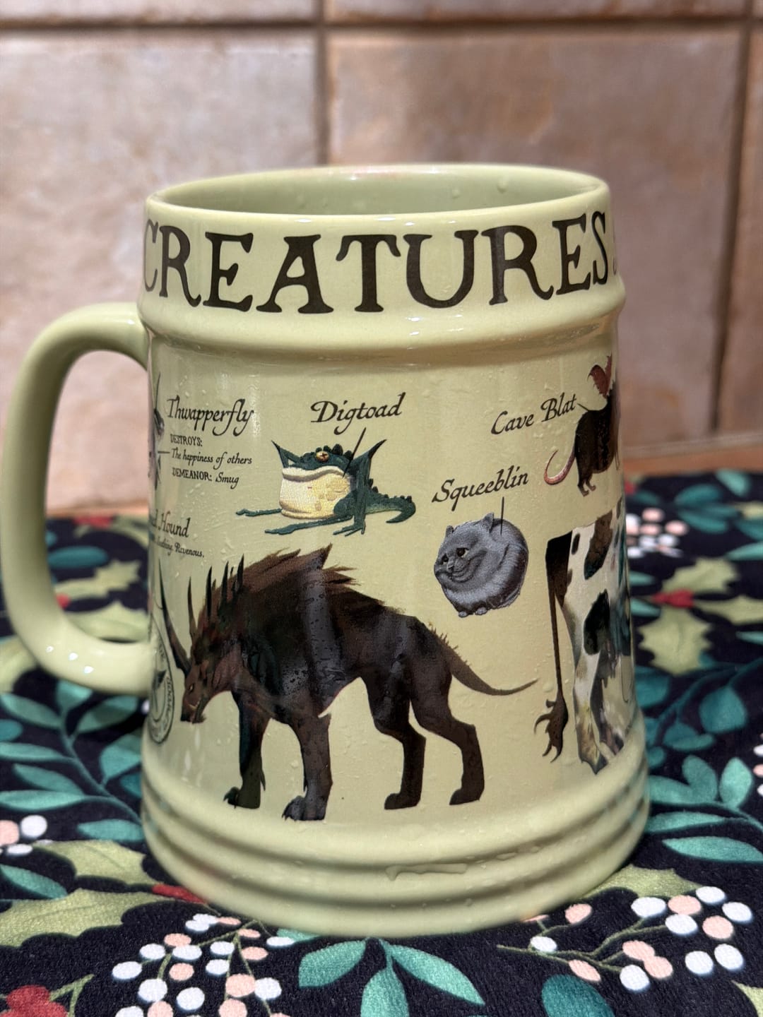 Customer photo review of Creatures of Glipwood Mug