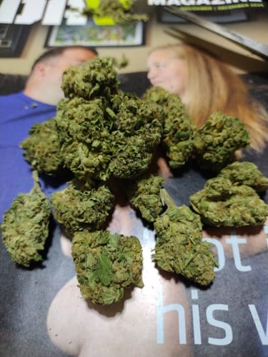 Customer photo review of Maui Wowie - Bulk - Sativa
