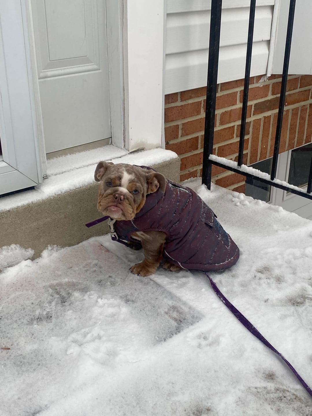 Customer photo review of WarmShield Water-Resistant Jacket - Cosmic