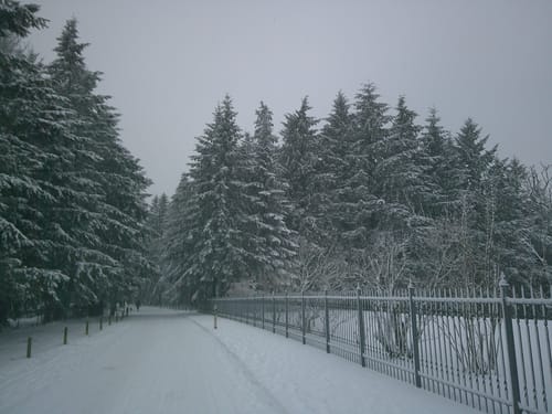 Kundenfoto einer verschneiten Winterlandschaft, aufgenommen mit der NUVINT Digitalkamera.