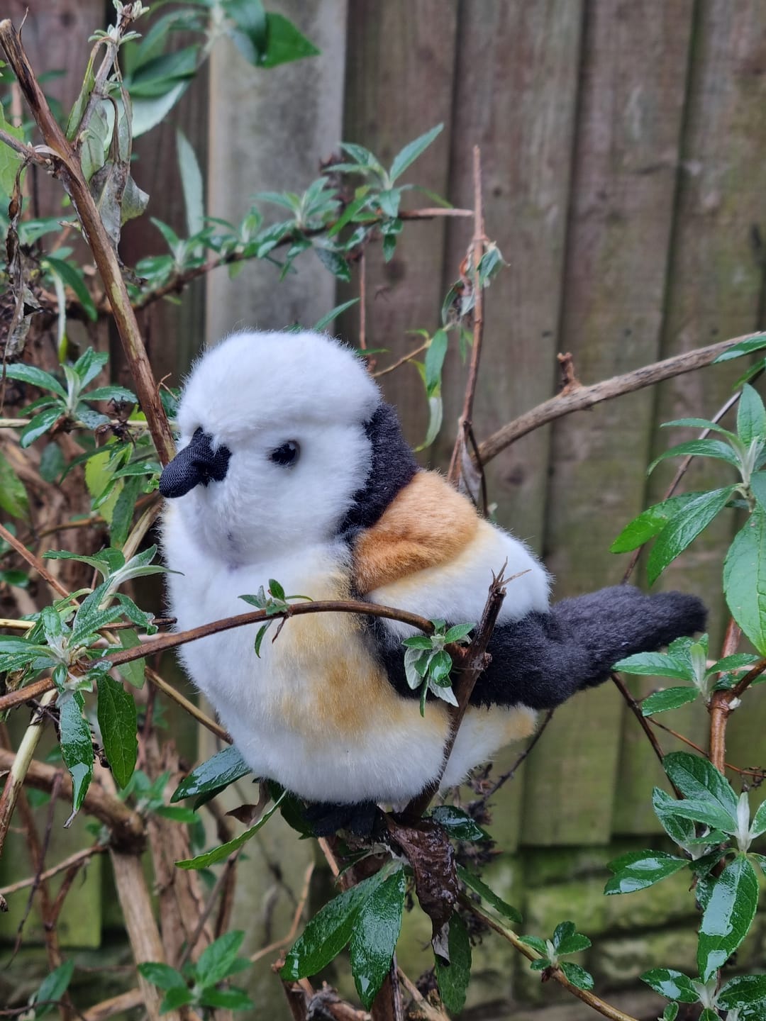 Customer photo review of Adorable Long-Tailed Tit Bird Plush – Realistic and Chubby Design