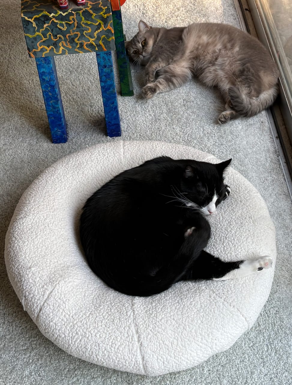 Customer photo review of Marshmallow Pudding Bed
