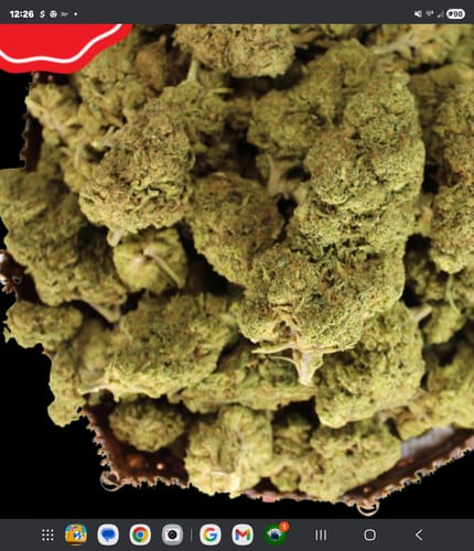 Customer photo review of Residual Sugar THCA Flower