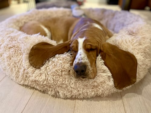 Customer photo review of CalmBed - Motverkar stress & hjälper mot ångest