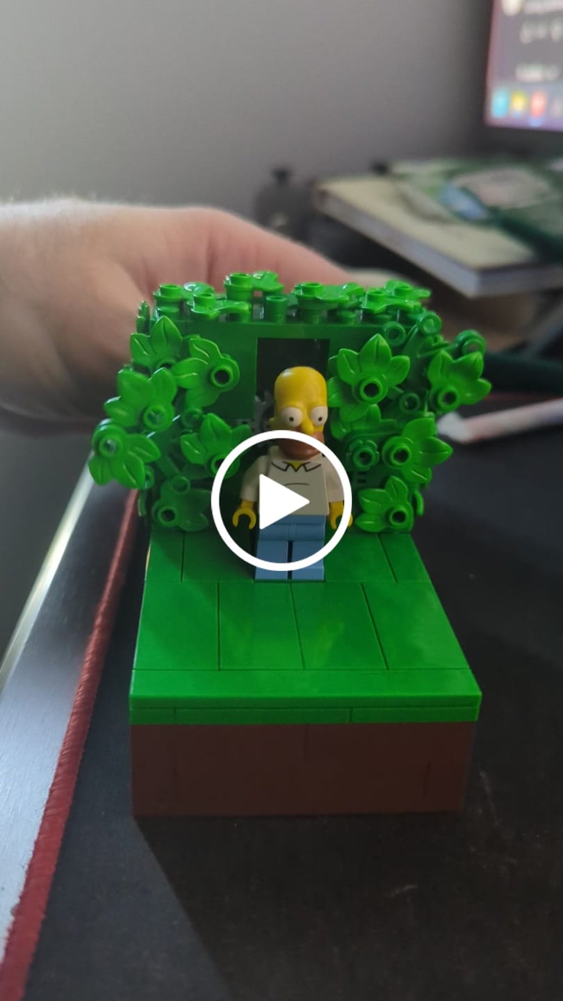 Customer video review of Homer Vanishing Into the Bushes