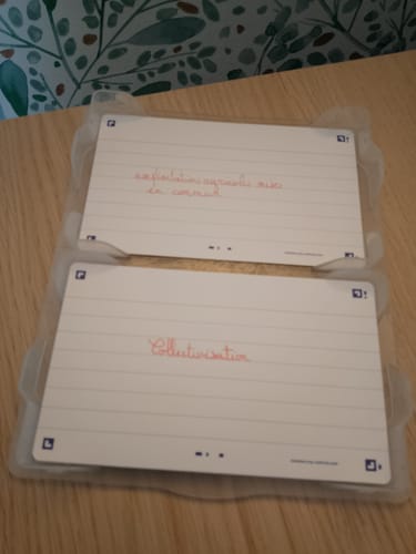 Client présentant ses fiches de révision FLASH 2.0 avec des notes manuscrites sur une table.