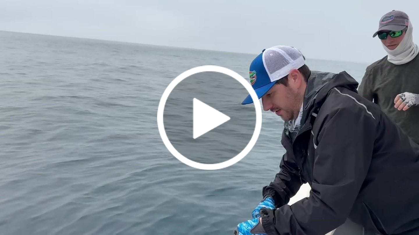 Customer video review of Mini Scissors for Cutting Braided Fishing Line