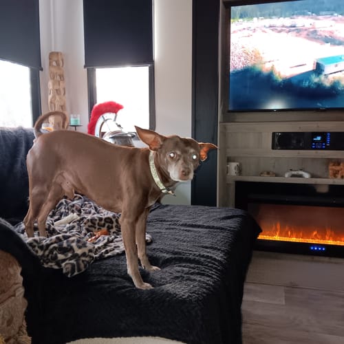 Customer photo review of ENTRY PACK LEVEL 1