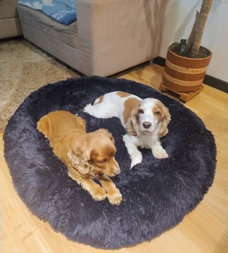 Customer photo review of Cama Original Antiestrés Para Perros Mascotikos™ + Almohadita De Regalo 🎁