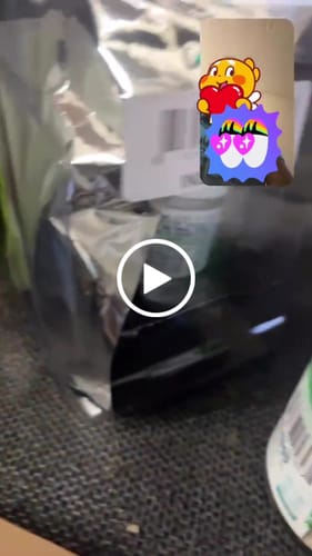 Customer video review of OG Lover Bundle