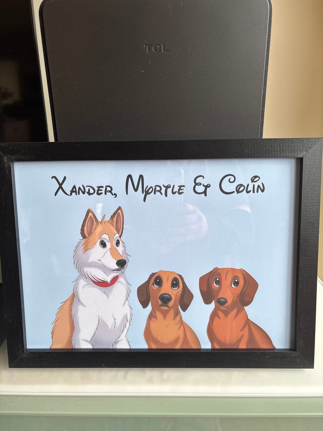 Customer photo review of Custom Hand-Drawn Cartoon Pet Portrait