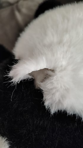 Customer photo review of Misie Obciążeniowe™