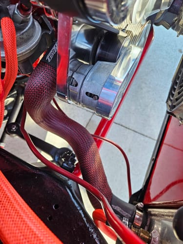 Customer photo review of Upper Radiator Hose Skin Kit -Carbon Fiber/Kevlar